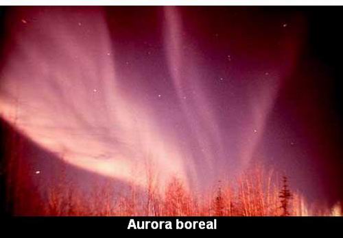 Auroroa boreal.jpg